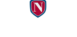 National Insurance Services LLC